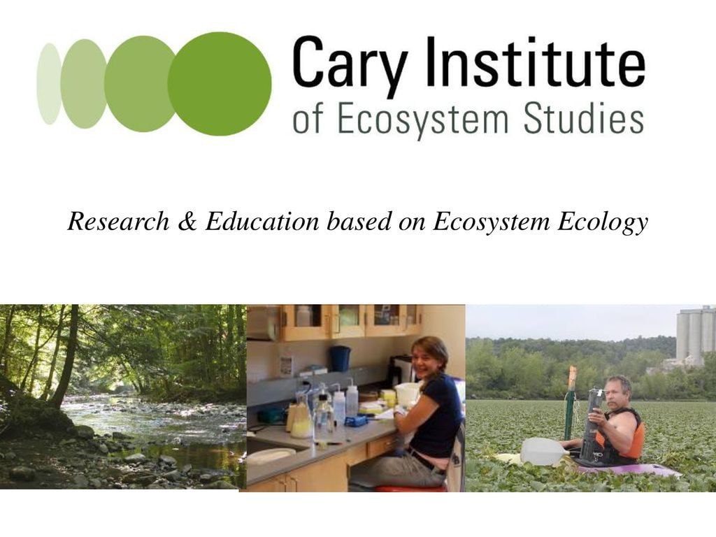 Elementary School Engages in Schoolyard Ecosystem Exploration with Cary Institute